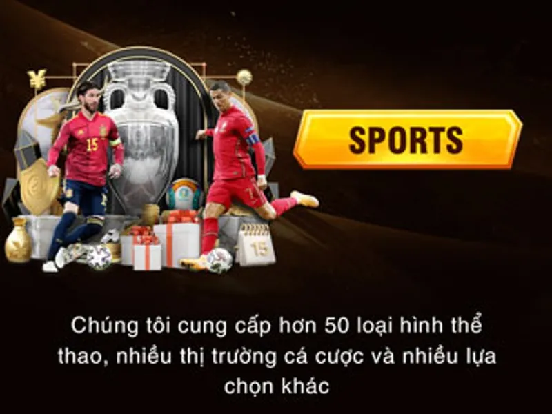 Cá Cược Thể Thao sin88